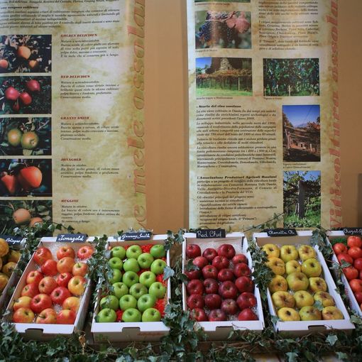 La Sagra MeleMiele compie 31 anni