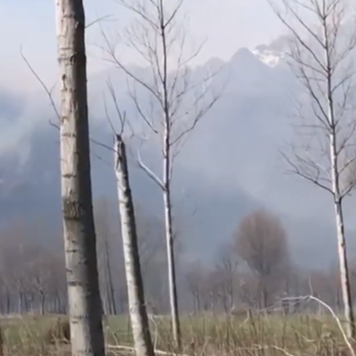 Incendio alle porte di Ornavasso VIDEO