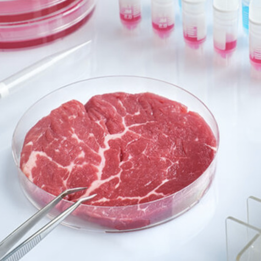 Carne sintetica sì o no?