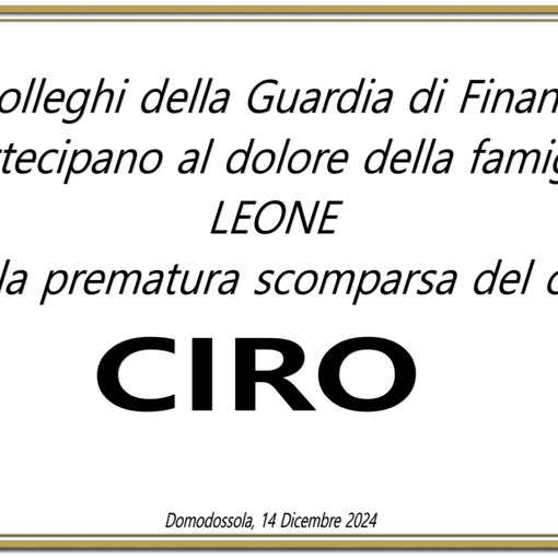 Partecipazione