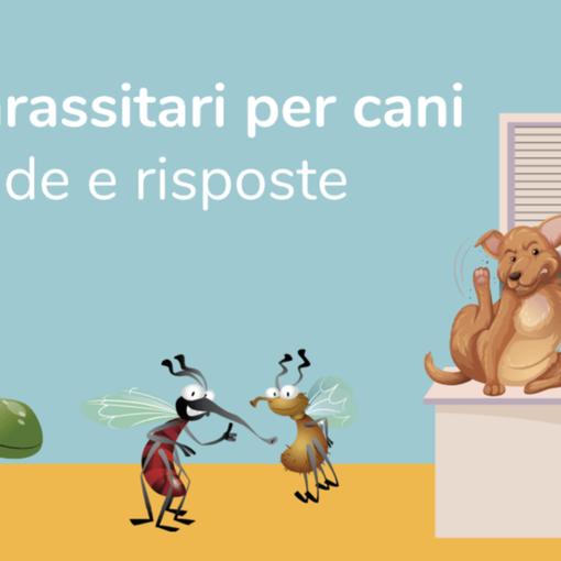 Come rimuovere le zecche dal cane
