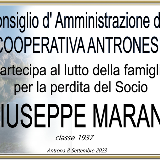 Partecipazione