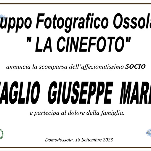 Partecipazione