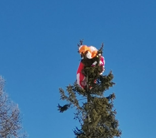 Parapendista finisce sulla cima di una pianta, soccorsi in azione