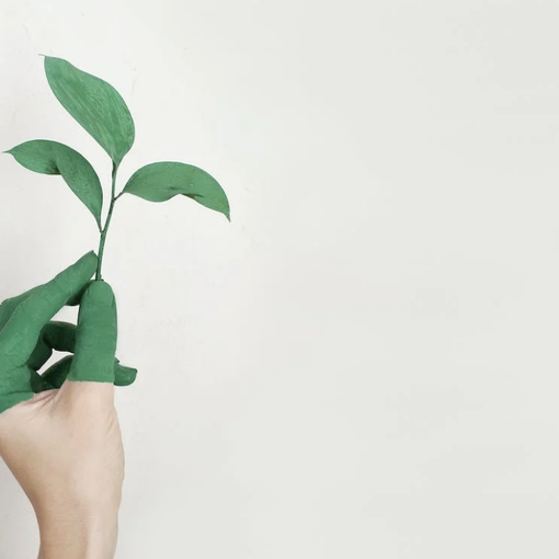 Diventa verde con i gadget ecologici per te e la tua forza lavoro / Immagine: Alena Koval / Pexels.