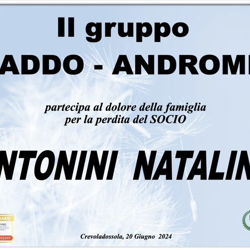 Partecipazione