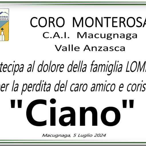 Partecipazione