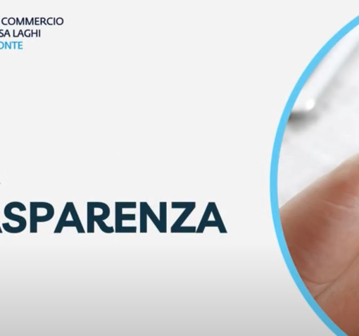 Giornata della trasparenza: ecco i dati del 2024