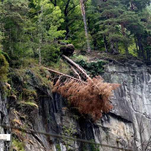''Le Ferrovie dovrebbero avere più attenzione per la stazione di Iselle''   FOTO