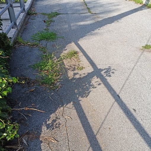''C'è scarsa manutenzione del verde a Premosello &quot;