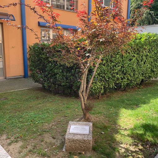Quando Gino Strada doveva diventare cittadino onorario di Villadossola