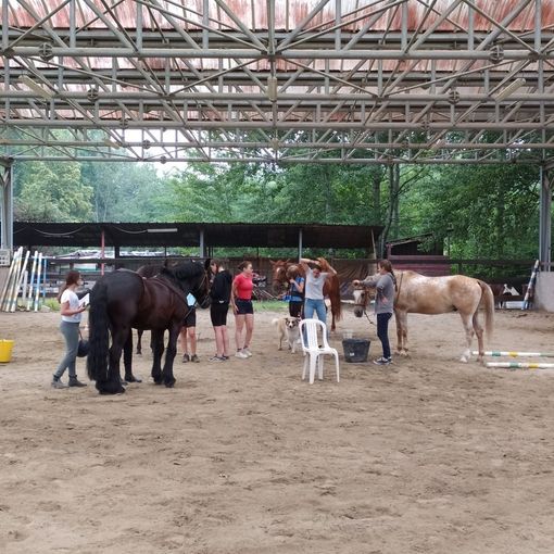 Alla Prateria il campo estivo per giovani disabili