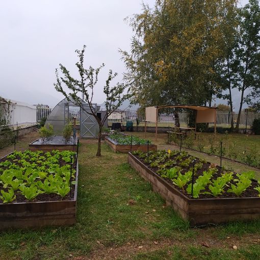 Agricoltura 4.0 alle scuole Casetti con il nuovo orto didattico