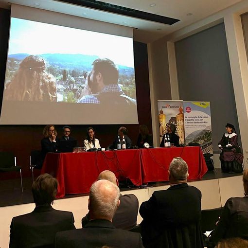 Trenino Verde delle Alpi motore della mobilità ecologica tra l’Ossola e il Vallese