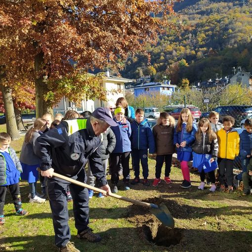 Giornata dell'albero, cerimonia alle elementari di Beura per sensibilizzare le nuove generazioni  FOTO e VIDEO