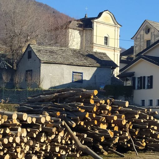 Trontano, per i residenti legna da ardere a prezzo vantaggioso