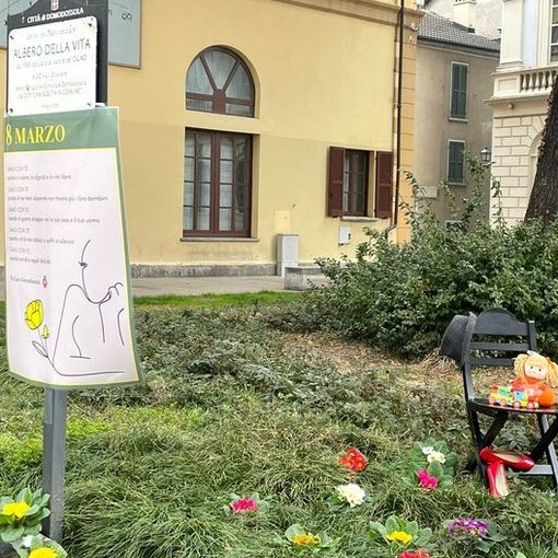 Primule sotto l'Albero della Vita, iniziativa della Pro Loco per l'8 Marzo