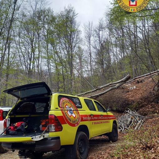 Colpito da una pianta in alta Valle Bognanco, ferito un 77enne