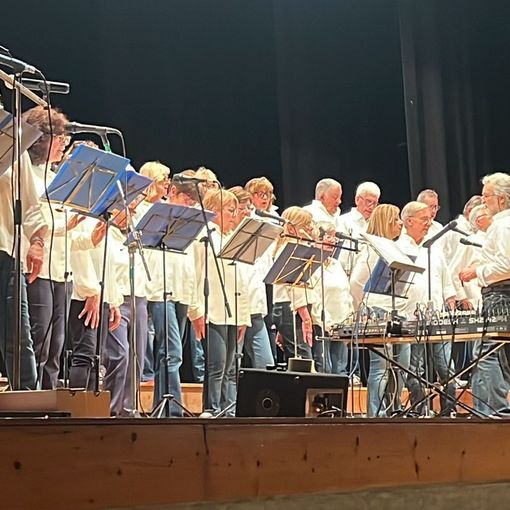 Raccolti 6.500 euro per le case di riposo di Domo e Villa grazie al  Coro Blu