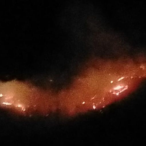 Bosco in fiamme a Montecrestese