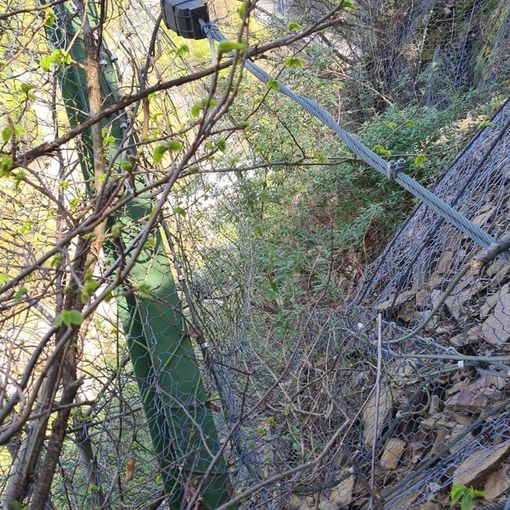 Frana a Bognanco, provinciale chiusa per tutta la notte