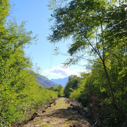 Nuovo percorso escursionistico a Cosasca: &quot;Ripar andar per argini&quot;