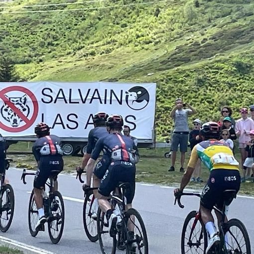 Grandi predatori, protesta degli allevatori vallesani al Tour de Suisse