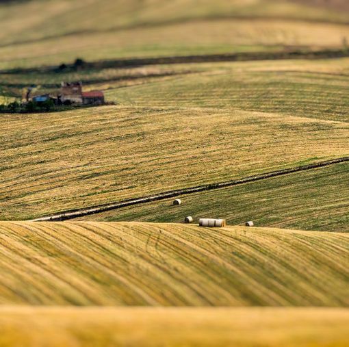 Siccità maggio 2022: la Regione chiede la segnalazione dei danni alle imprese agricole