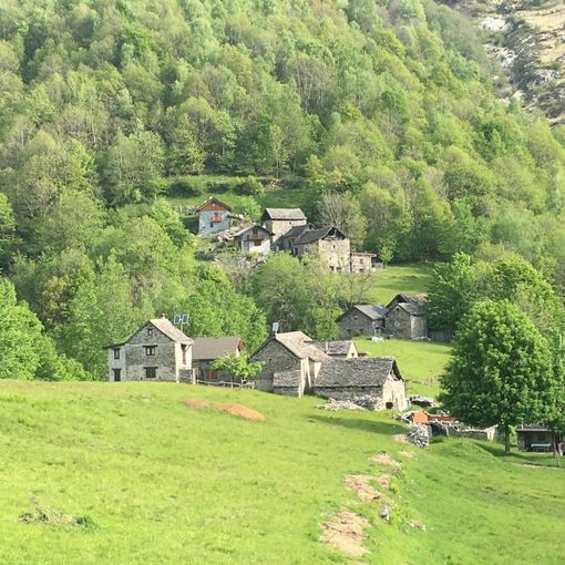 Musica in Quota: annullato per maltempo il concerto di domani  all'Alpe Alpino