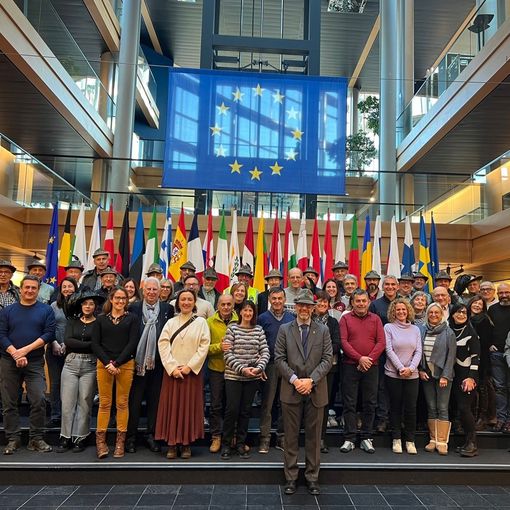 Una delegazione di alpini, bersaglieri e associazioni del Vco in visita al Parlamento Europeo