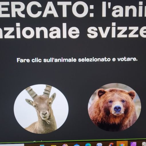 La Svizzera cerca il suo animale nazionale