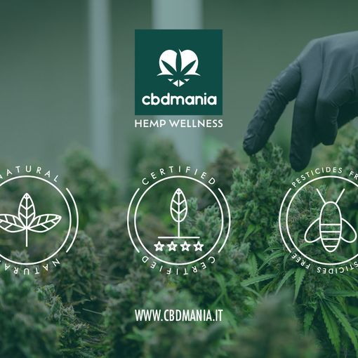 L’alta qualità dei prodotti al CBD: a cosa bisogna fare attenzione?