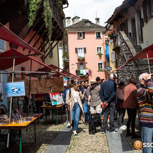 Arte nel centro storico, buona riuscita dell'evento organizzato nell'ambito del festival Di-Se FOTO