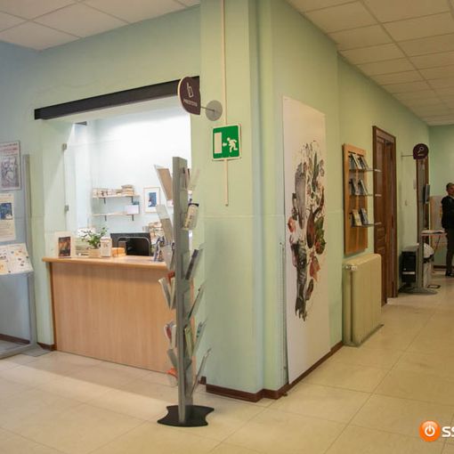 In biblioteca un doppio appuntamento per i più piccoli in attesa di Babbo Natale