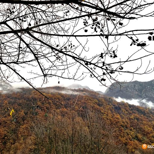 Consumo del suolo in Piemonte, l'allarme degli agronomi