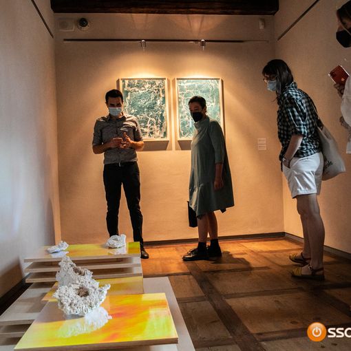 Taglio del nastro per Vertigine, la nuova mostra di Casa de Rodis FOTO