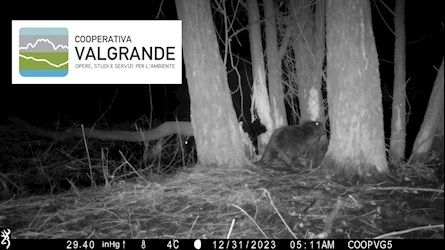 Foto: l'immagine è tratta dal sito della Provincia del Vco