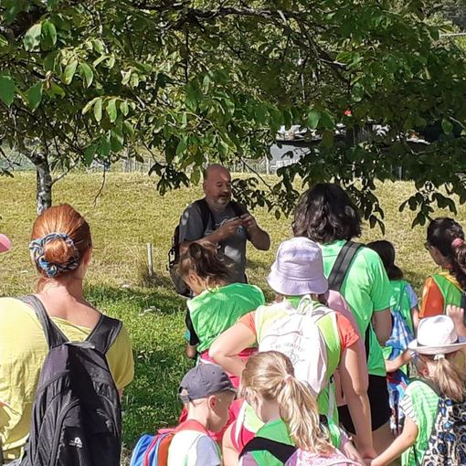Successo per il centro estivo 'Luglio Insieme' a Malesco