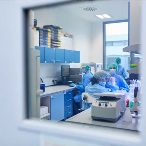 Covid Piemonte: oggi registrati 650 nuovi casi, stabili i ricoveri in terapia intensiva