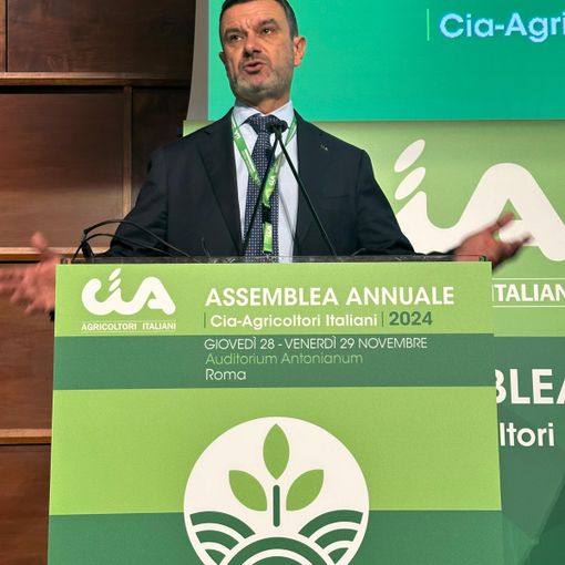 Assemblea Cia: aree interne e svantaggiate diventino “zone franche”
