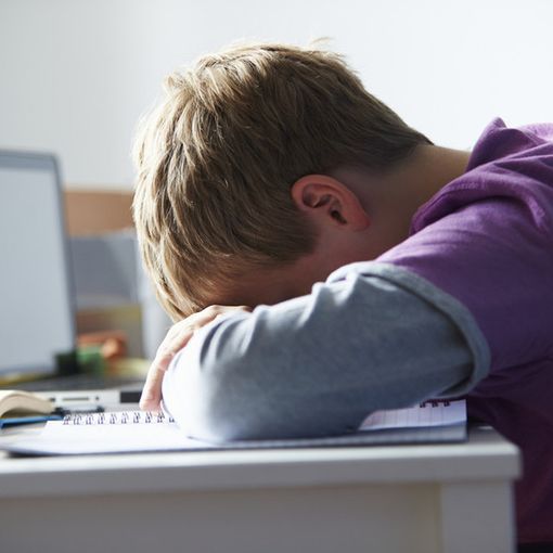 Il Corecom Piemonte in prima linea contro il cyberbullismo