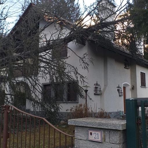 Forte vento, ingenti danni in Valle Vigezzo FOTO