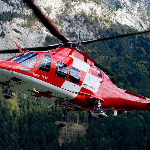 Colpito dal tronco dell'albero che stava tagliando; in gravi condizioni un 65enne in Canton Ticino