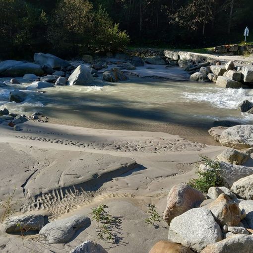 Fango nell'Anza, molti pesci morti   FOTO e VIDEO