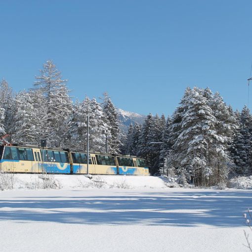Con la Vigezzina-Centovalli in viaggio verso i grandi eventi del Natale tra Italia e Svizzera