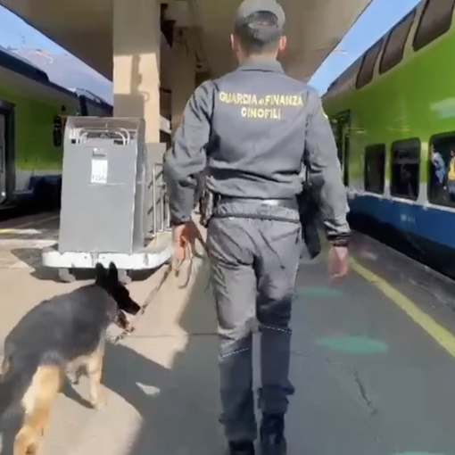 Trasportava ovuli di cocaina verso la Svizzera: arrestata dalla guardia di finanza