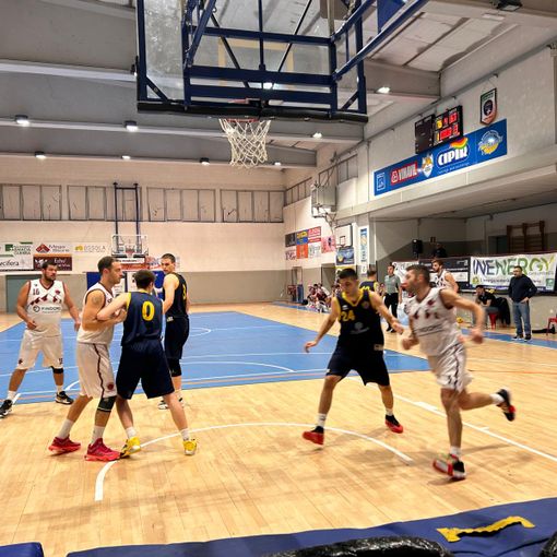 Findomo Pediacooph24 torna alla vittoria contro Montalto Dora