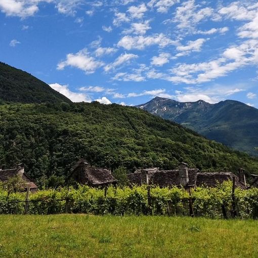 Via libera a passeggiate, escursioni e trekking!
