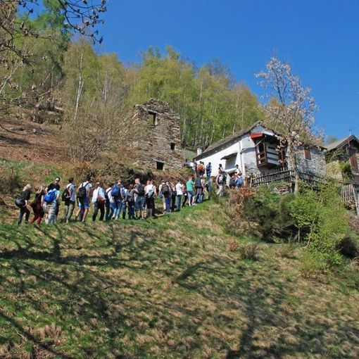 Un'altra gita escursionistica tra i terrazzamenti del Parco Val grande