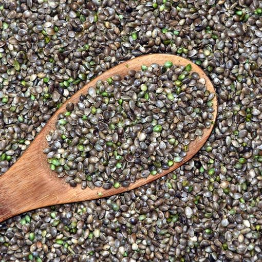 Le virtù dei semi di cannabis